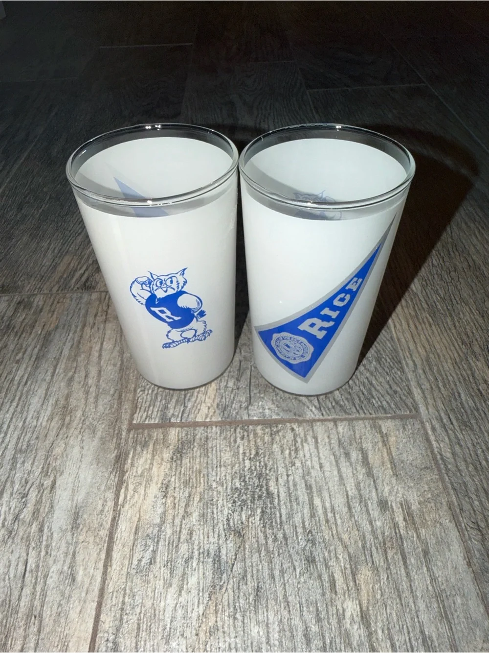 Vintage Rice University Frosted Glasses Set of 2